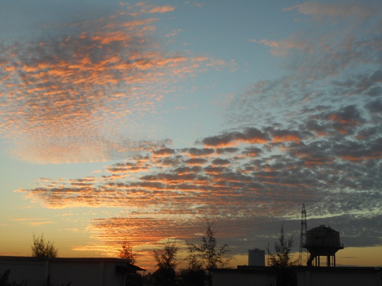 Ujjwala_Gour-DSCN2493