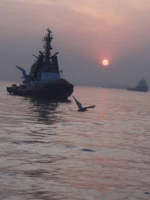 Zunera_Shahab-20151226_175604