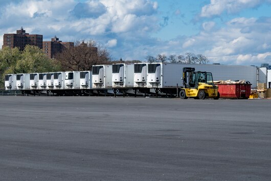 Refrigerated trucks lined up on Randalls Island, New York.